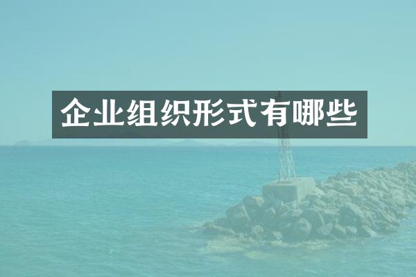 企业组织形式有哪些