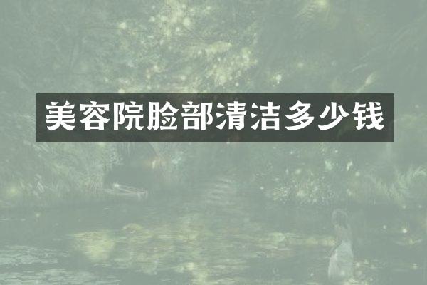 美容院脸部清洁多少钱