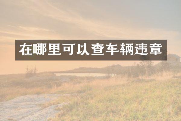 在哪里可以查车辆违章