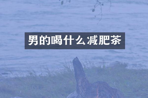 男的喝什么减肥茶