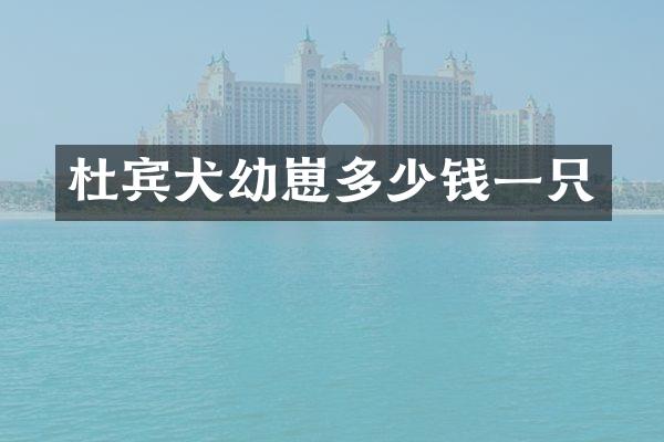 杜宾犬幼崽多少钱一只