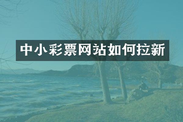 中小彩票网站如何拉新