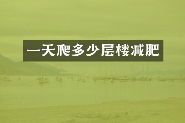 一天爬多少层楼减肥