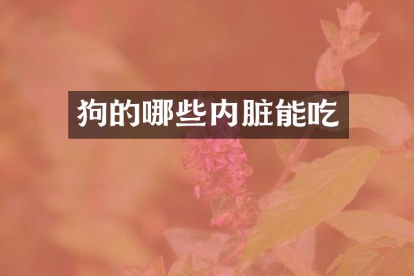 狗的哪些内脏能吃