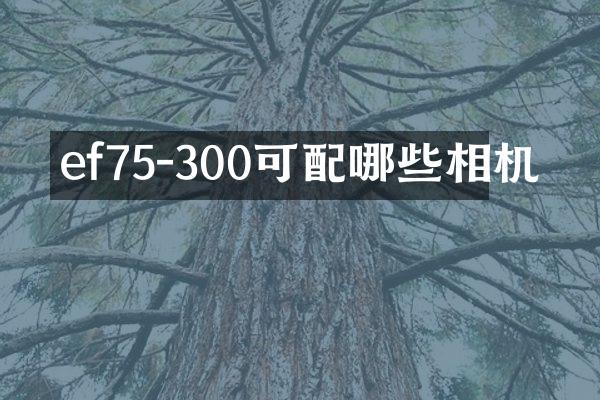 ef75-300可配哪些相机