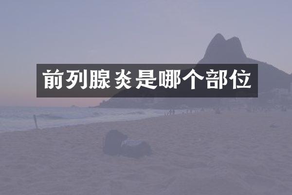 前列腺炎是哪个部位