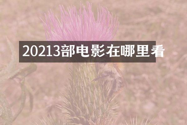 20213部电影在哪里看