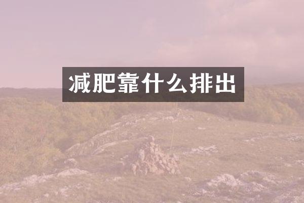 减肥靠什么排出