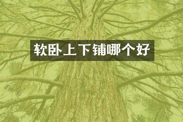 软卧上下铺哪个好