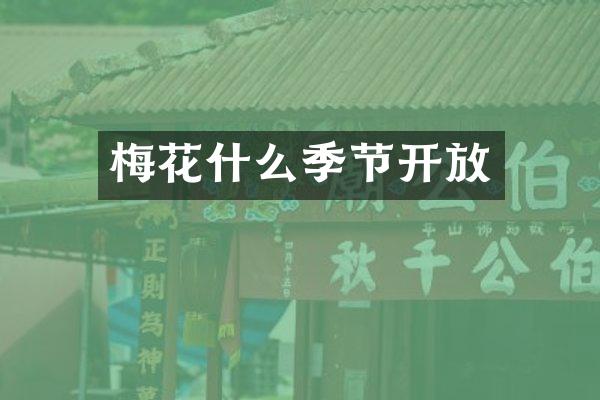梅花什么季节开放