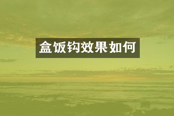 盒饭钩效果如何