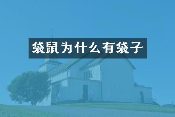 袋鼠为什么有袋子