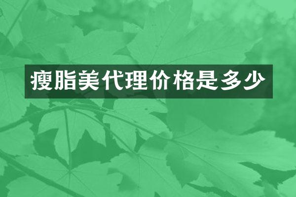 瘦脂美代理价格是多少