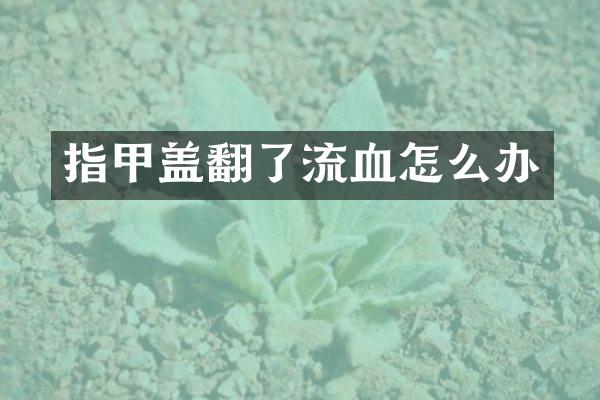 指甲盖翻了流血怎么办