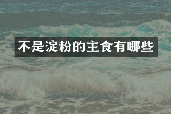 不是淀粉的主食有哪些
