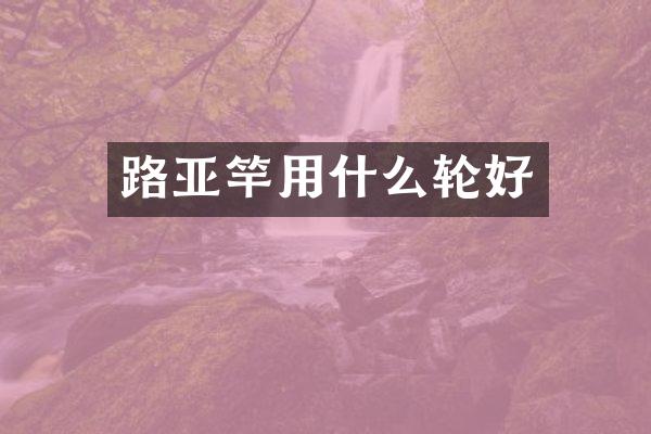 路亚竿用什么轮好