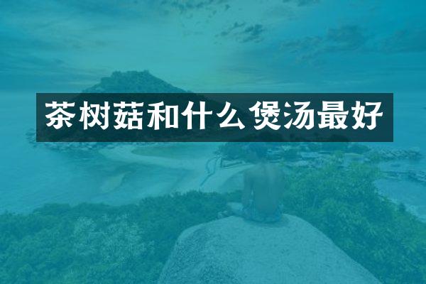 茶树菇和什么煲汤最好