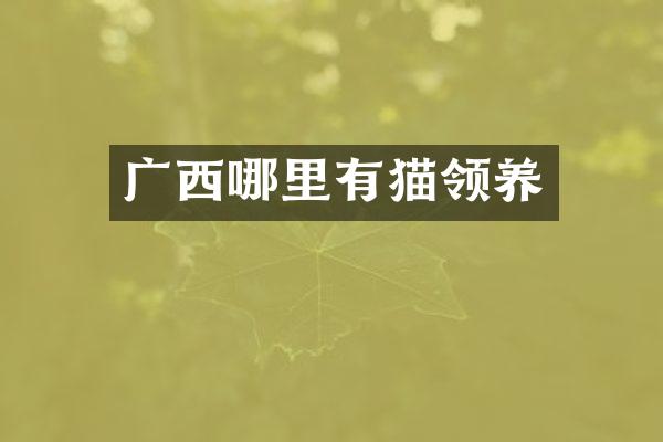 广西哪里有猫领养