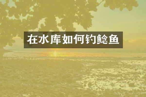 在水库如何钓鲶鱼