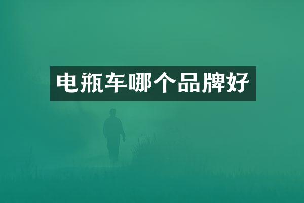 电瓶车哪个品牌好