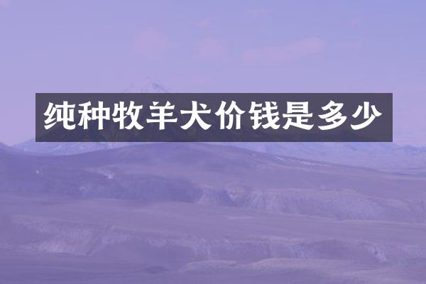 纯种牧羊犬价钱是多少