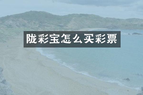 陇彩宝怎么买彩票