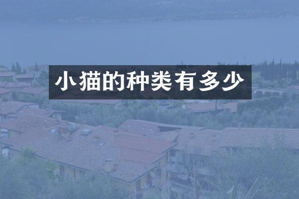 小猫的种类有多少