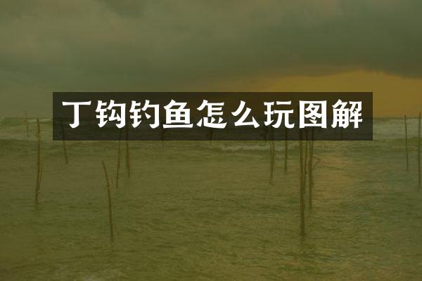 丁钩钓鱼怎么玩图解
