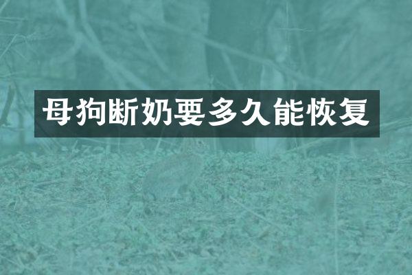 母狗断奶要多久能恢复