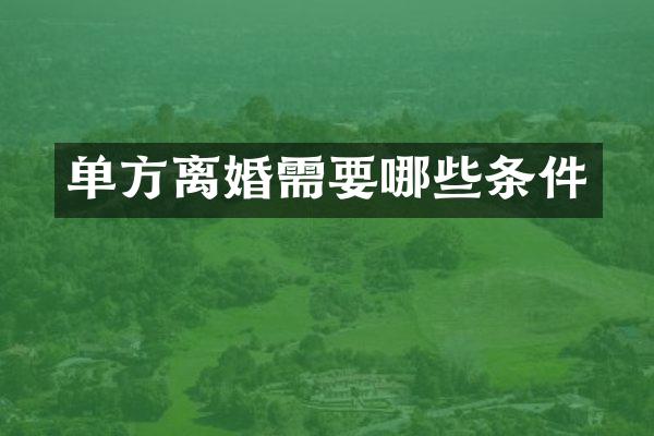 单方离婚需要哪些条件
