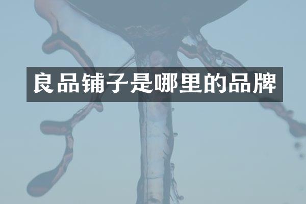 良品铺子是哪里的品牌