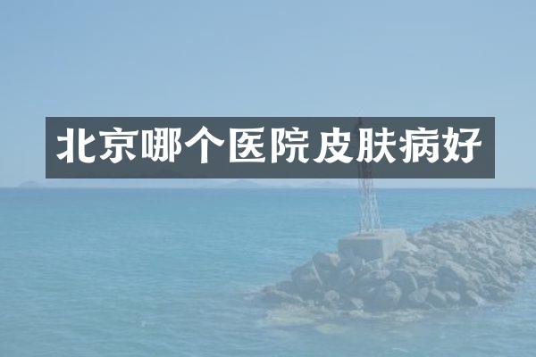 北京哪个医院皮肤病好