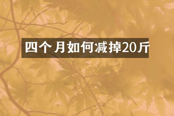 四个月如何减掉20斤