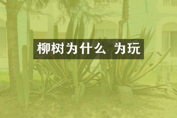 柳树为什么 为玩