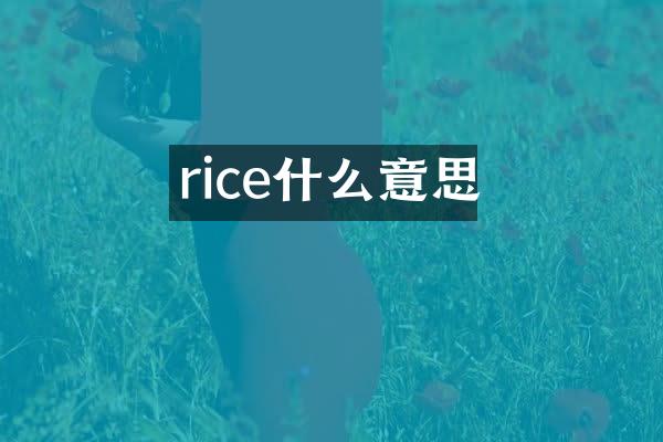 rice什么意思
