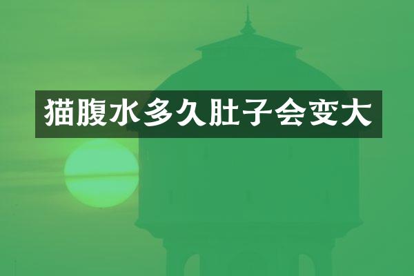 猫腹水多久肚子会变大