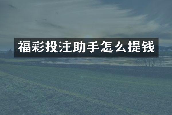 福彩投注助手怎么提钱