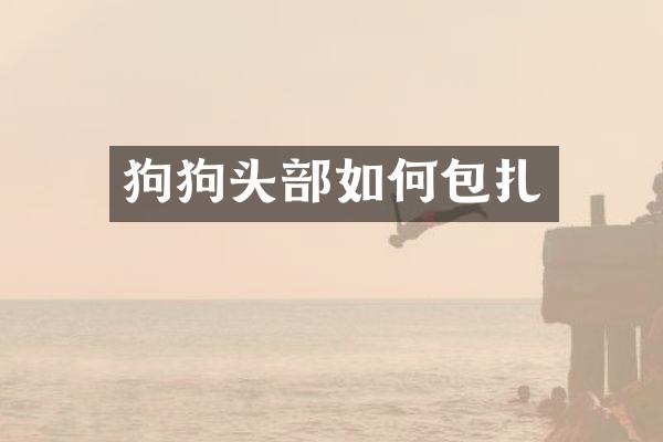 狗狗头部如何包扎