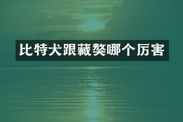 比特犬跟藏獒哪个厉害