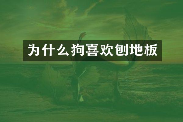 为什么狗喜欢刨地板