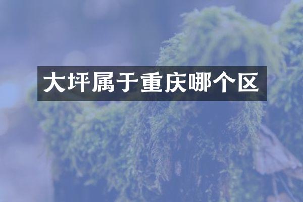 大坪属于重庆哪个区