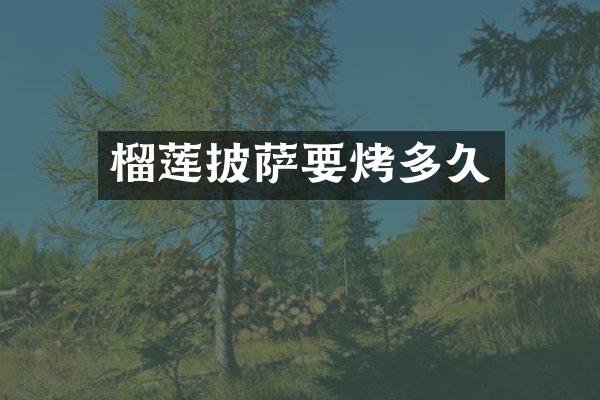 榴莲披萨要烤多久