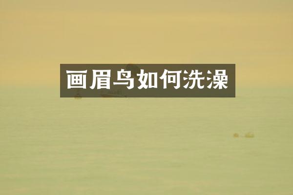 画眉鸟如何洗澡