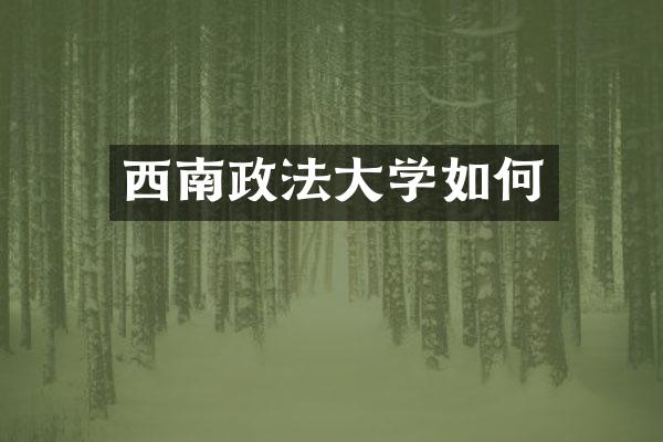 西南政法大学如何