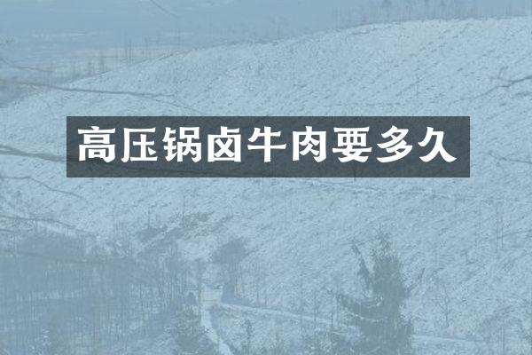 高压锅卤牛肉要多久