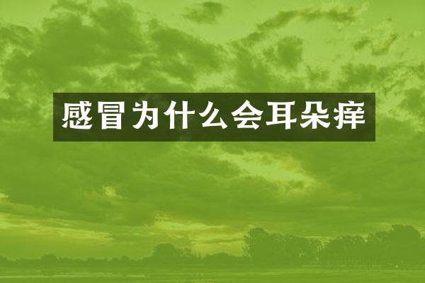 感冒为什么会耳朵痒