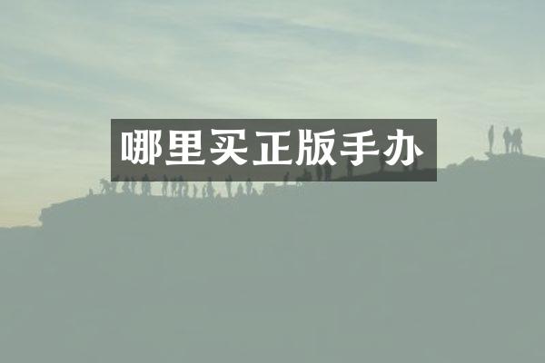 哪里买正版手办