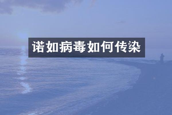 诺如病毒如何传染