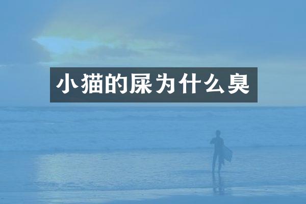 小猫的屎为什么臭