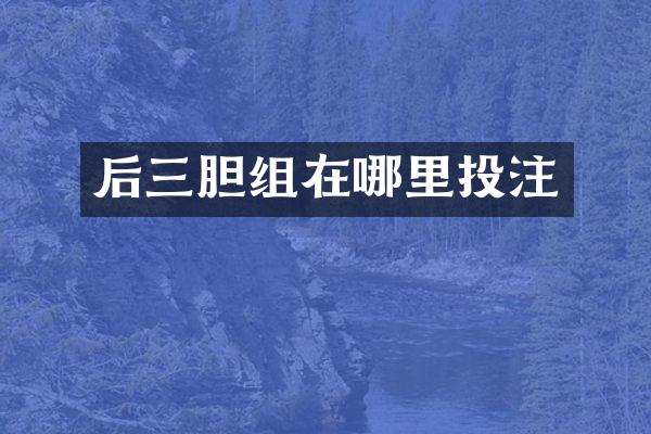 后三胆组在哪里投注